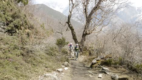 couple walking in mysterious forest among the mountains of nepal.