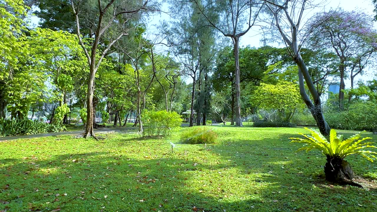A tranquil view of lush greenery and trees in Benjakitti Park, captured with smooth camera movement under bright daylight