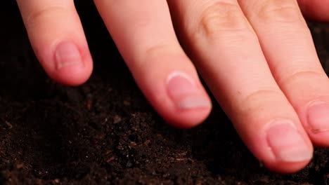 Close-up of fingers gently pressing seeds into dark, rich soil, highlighting the planting process.