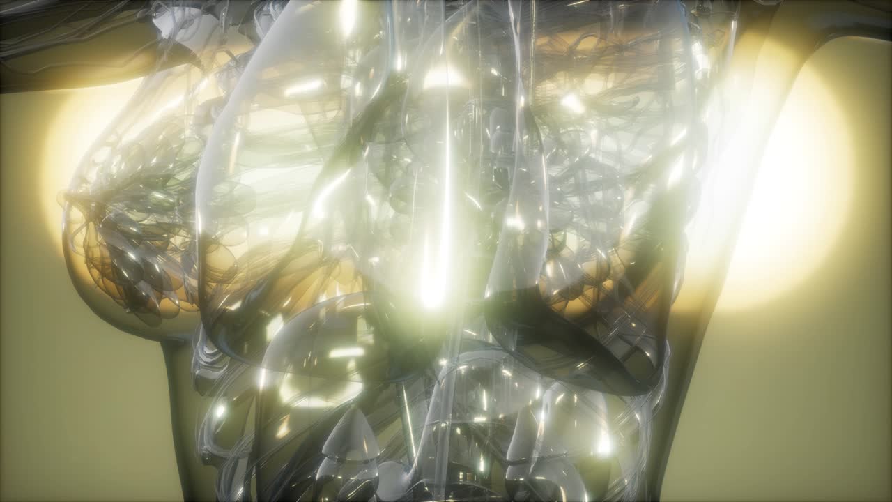 imagen de rayos x del cuerpo humano