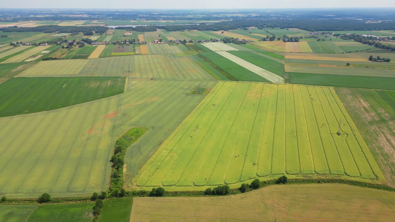 Abstract geometric shapes of agricultural parcels of different crops in yellow and green colors
