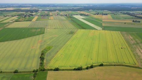 Formas-Geométricas-Abstractas-De-Parcelas-Agrícolas-De-Diferentes-Cultivos-En-Colores-Amarillo-Y-Verde