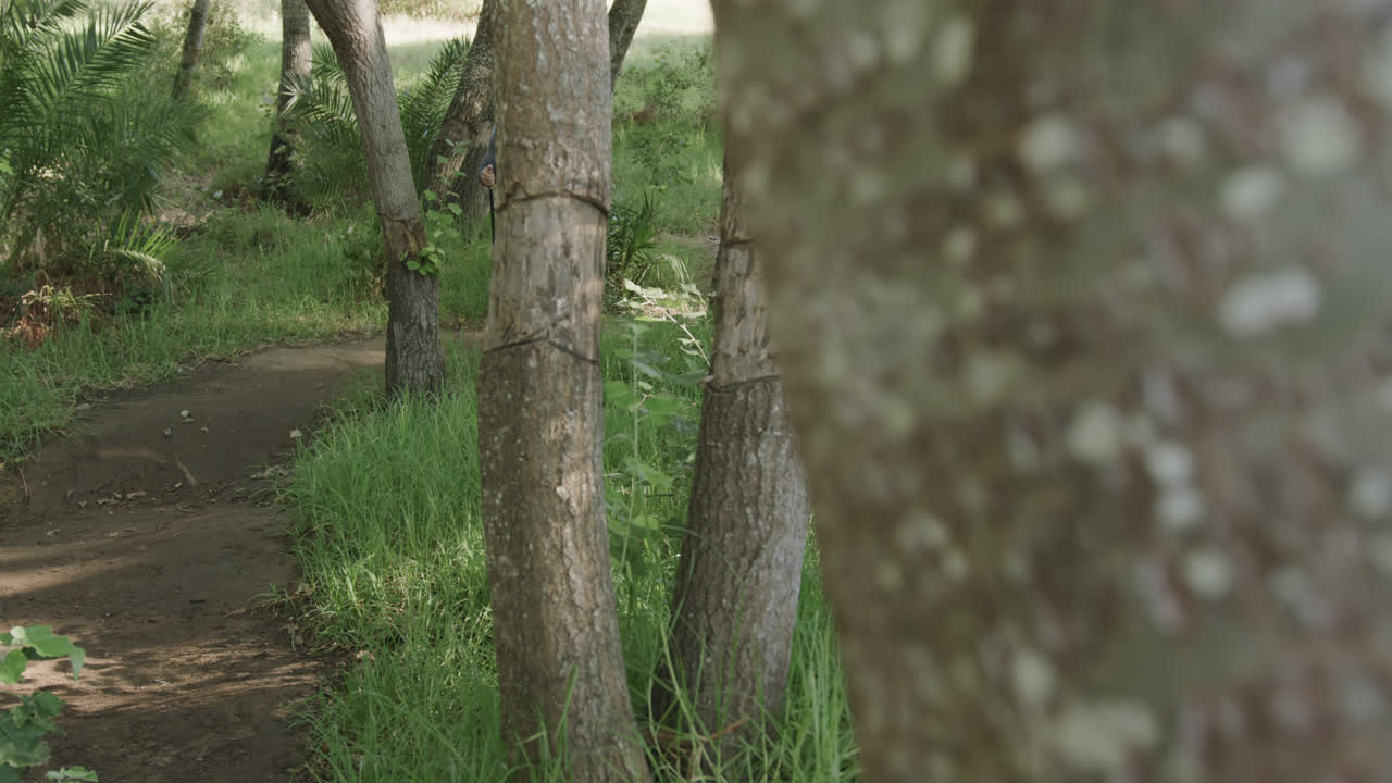 hombre afroamericano con mochila y caminando con palos de trekking en el bosque, en cámara lenta