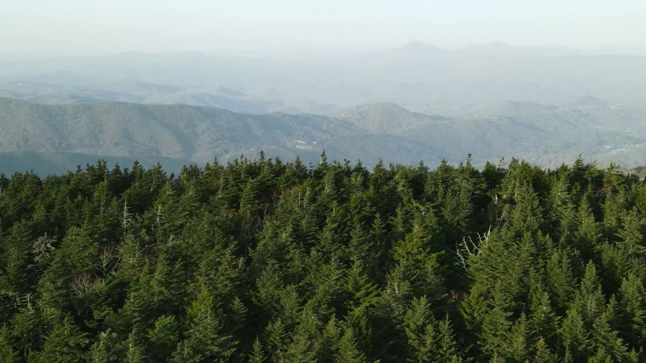 High altitude evergreen forest with far away hazy mountains in the background in North Carolina