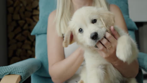 una mujer está jugando con un lindo cachorro de golden retriever, el cachorro está mordiendo sus dedos