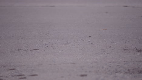 blurred road surface