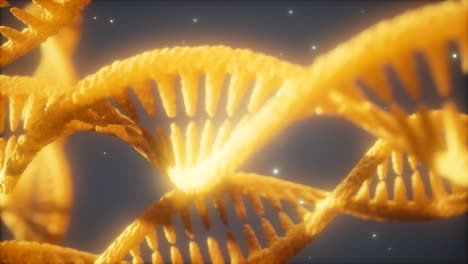 estructura helicoidal doble de la cadena de adn animación de primer plano