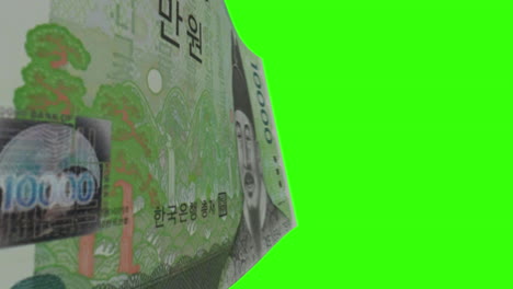 south korean 10000 won banknotes on green screen