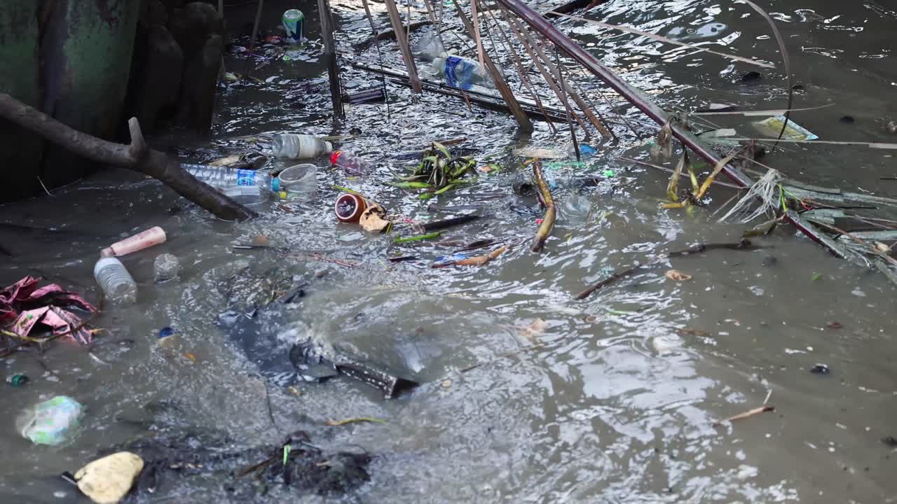 voluntarios quitando basura de un río contaminado