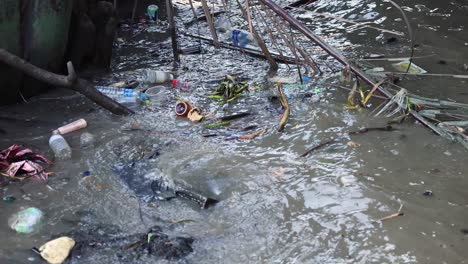 volunteers removing trash from a contaminated river