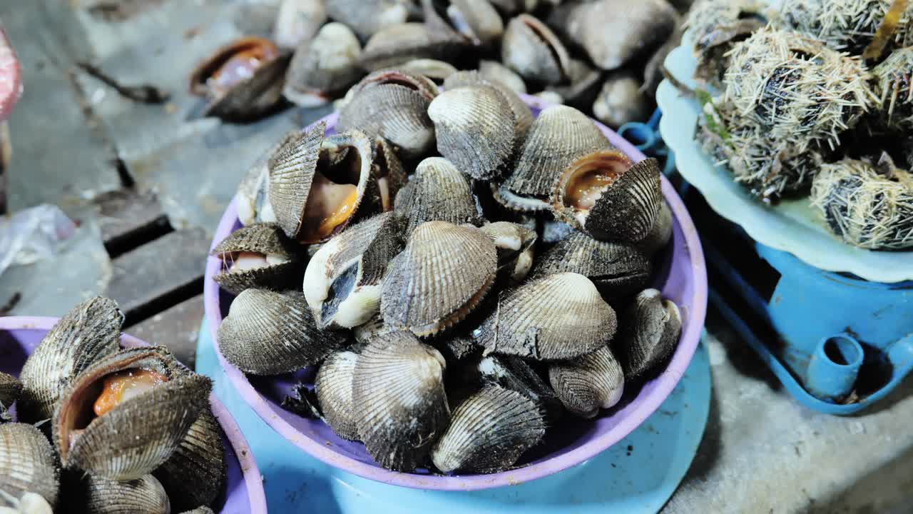 Close up fresh shellfish, Old Public Market Puerto Princesa Palawan Philippines
