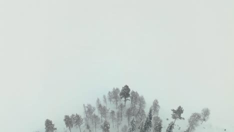 Bird's-Eye-View-Over-Forest-And-Frozen-Lake-In-Finland---Drone-Shot