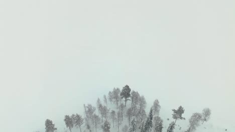 핀란드 의 숲 과 얼어붙은 호수 에 대한 조류 의 시각 - 드론 촬영
