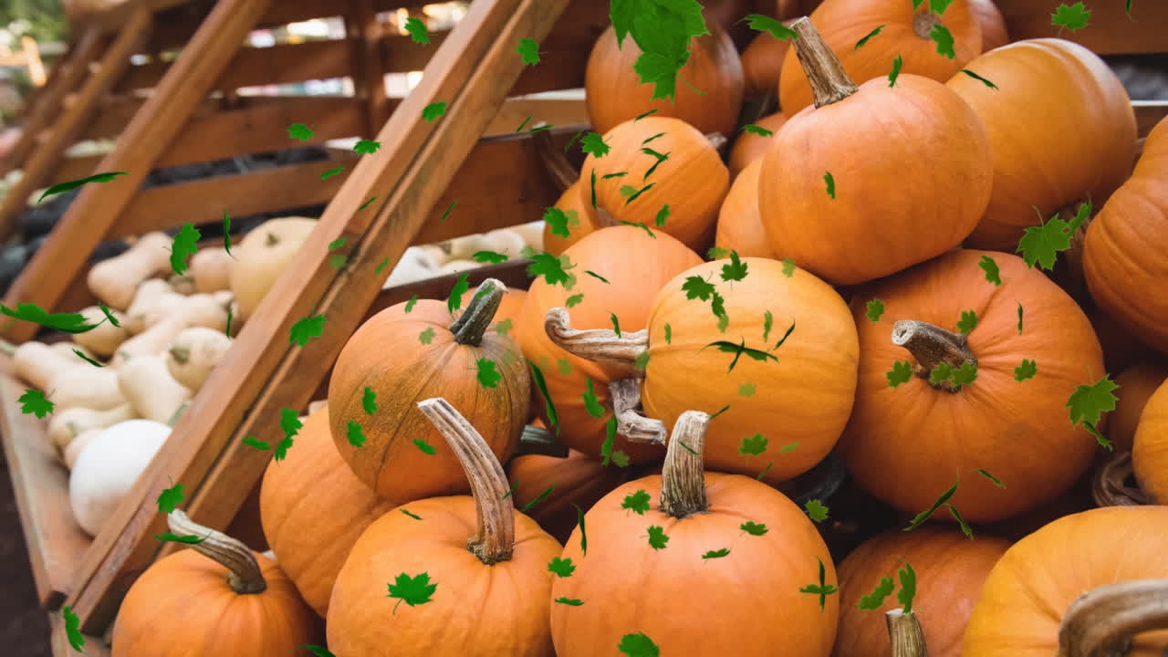 animación de hojas de otoño que caen sobre las calabazas en los estantes