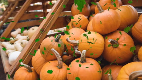 animation of autumn leaves falling over pumkins on shelves