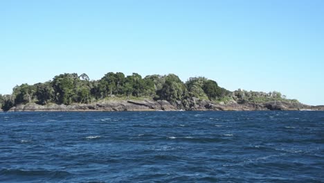 rock islands with trees in the deep blue tasman sea. coast of the south island in new zealand on a blue sky day