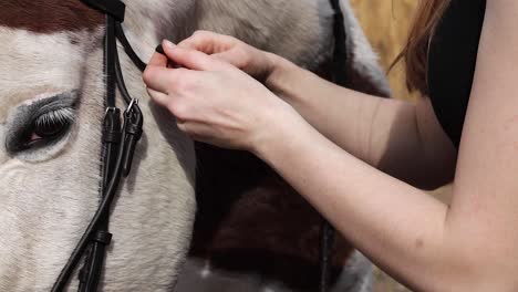 girl putting bridle on her horse