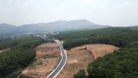 panorámico camino de montaña a través del bosque