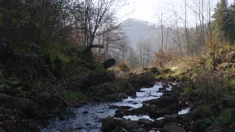 Rocky-river-in-middle-of-leafless-trees-and-mountains,-sunny,-autumn-day---Static-view