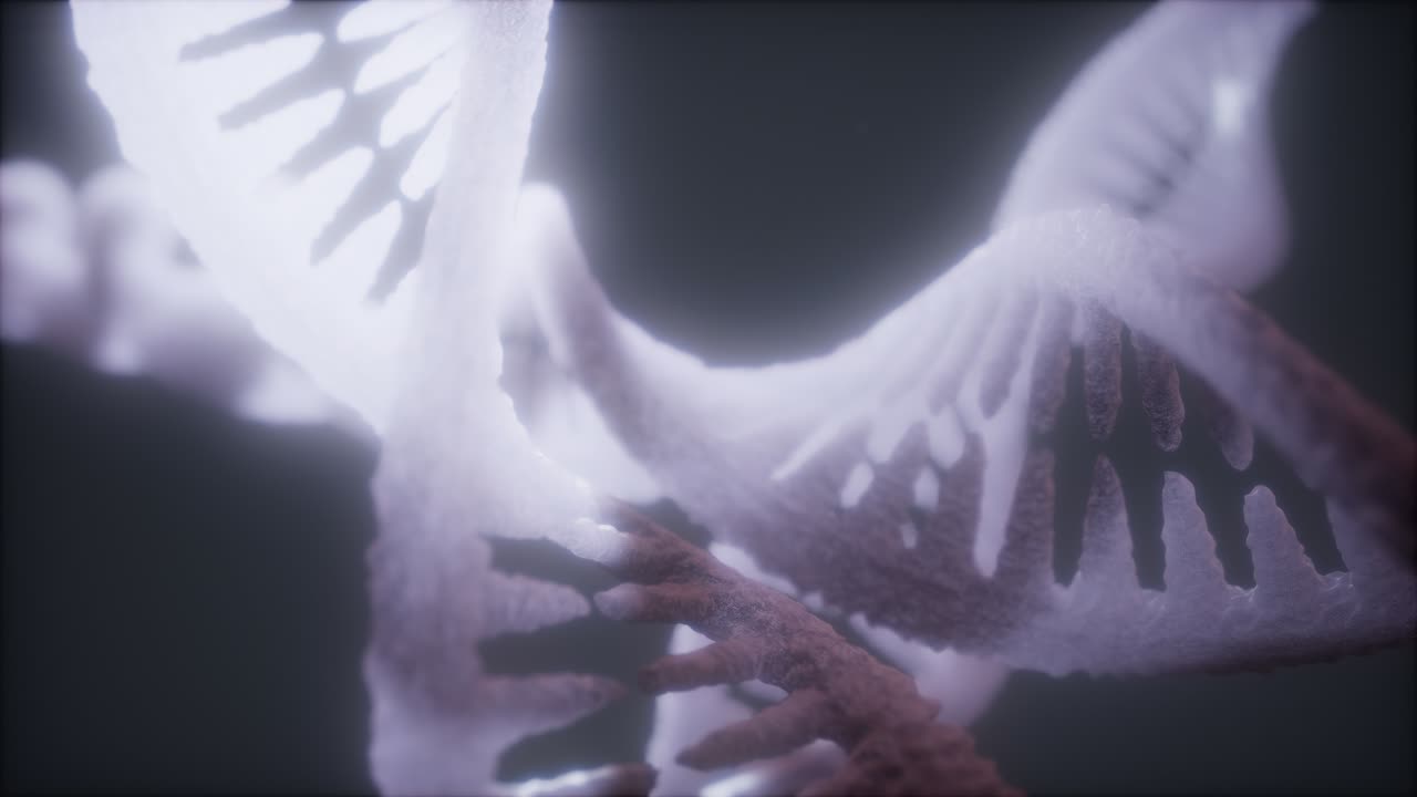 dna 가닥의 이중 루프 나선형 구조 클로즈업 애니메이션