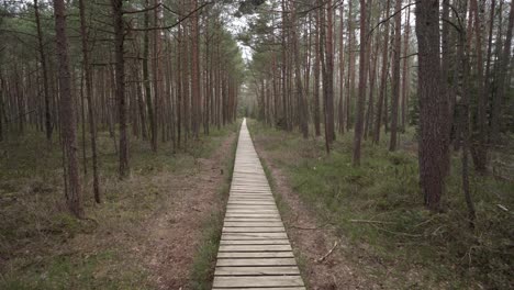 walking through varnikai cognitive walking way on a cloudy and gloomy day in trakai