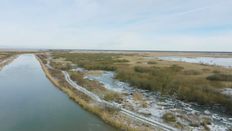 Antena-Distante-Que-Establece-Una-Vista-Del-Gran-Cormorán-Vacío,-Día-Soleado-De-Invierno,-árboles-Muertos,-Río-Barta,-Amplio-Disparo-De-Drones-Avanzando