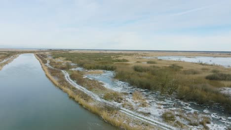 distant aerial establishing view of empty great cormorant , sunny winter day, dead trees, barta river, wide drone shot moving forward