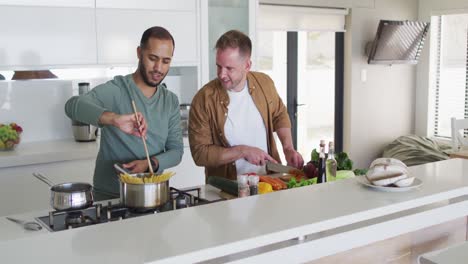 multi ethnic gay male couple preparing food in kitchen