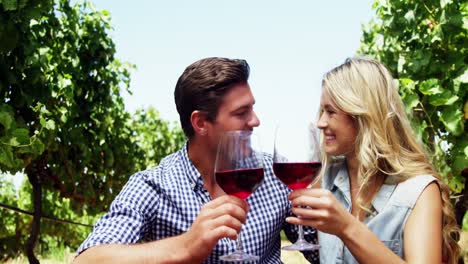 pareja feliz brindando copas de vino en el viñedo