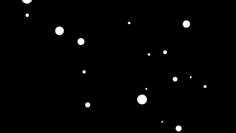 abstract white dots is random moving animation on black background.