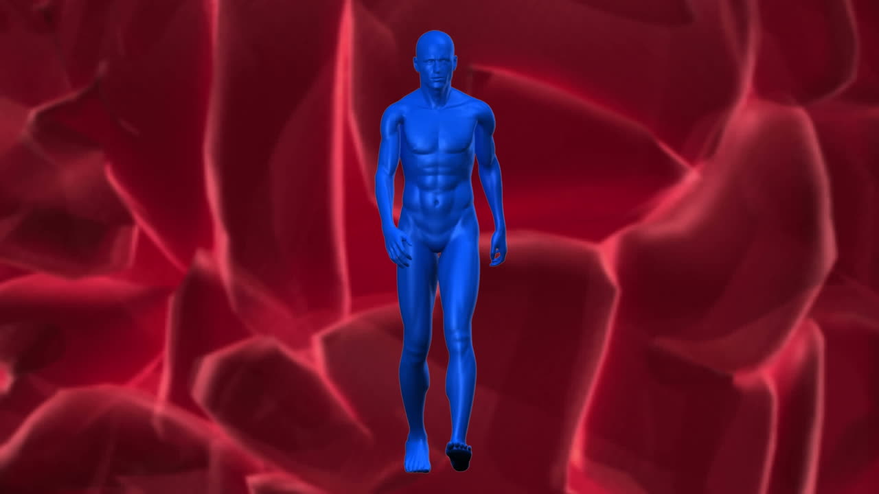 animación digital de un modelo del cuerpo humano que camina contra las señales que pasan a través de las neuronas