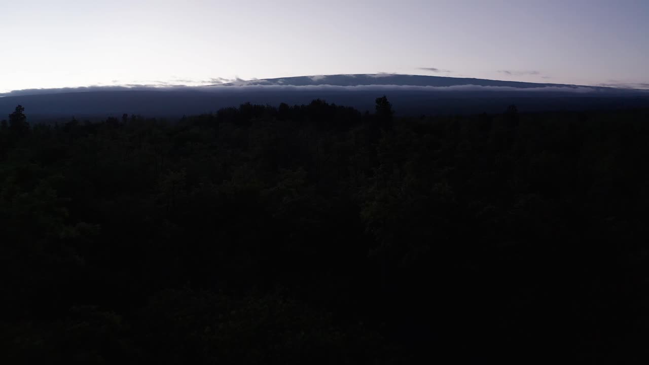 Low aerial shot flying over treetops towards towering Mauna Loa peeking above the clouds at sunset on the island of Hawai'i
