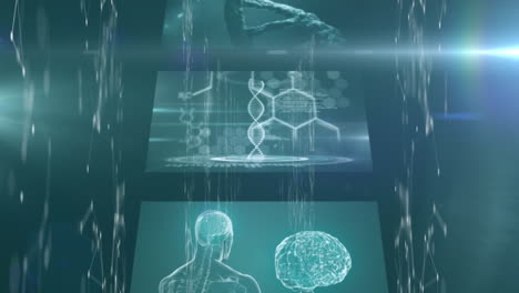 screens of medical data processing and network of connections against green background