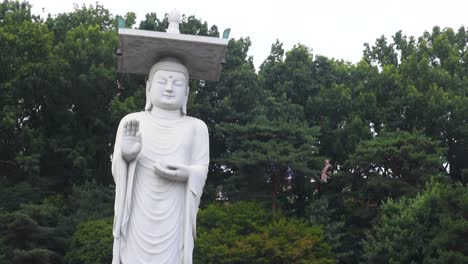 huge statue of buddha in a buddhist temple in seoul, south korea