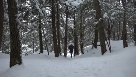 Ein-Mann-Schlug-Gegen-Einen-Baum,-Um-Schneefall-Zu-Provozieren