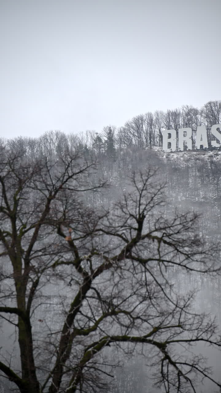 Brasov writing on the top of the Tampa mountain in the snow. Vertical
