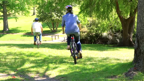 happy couple going for a bike ride in the park