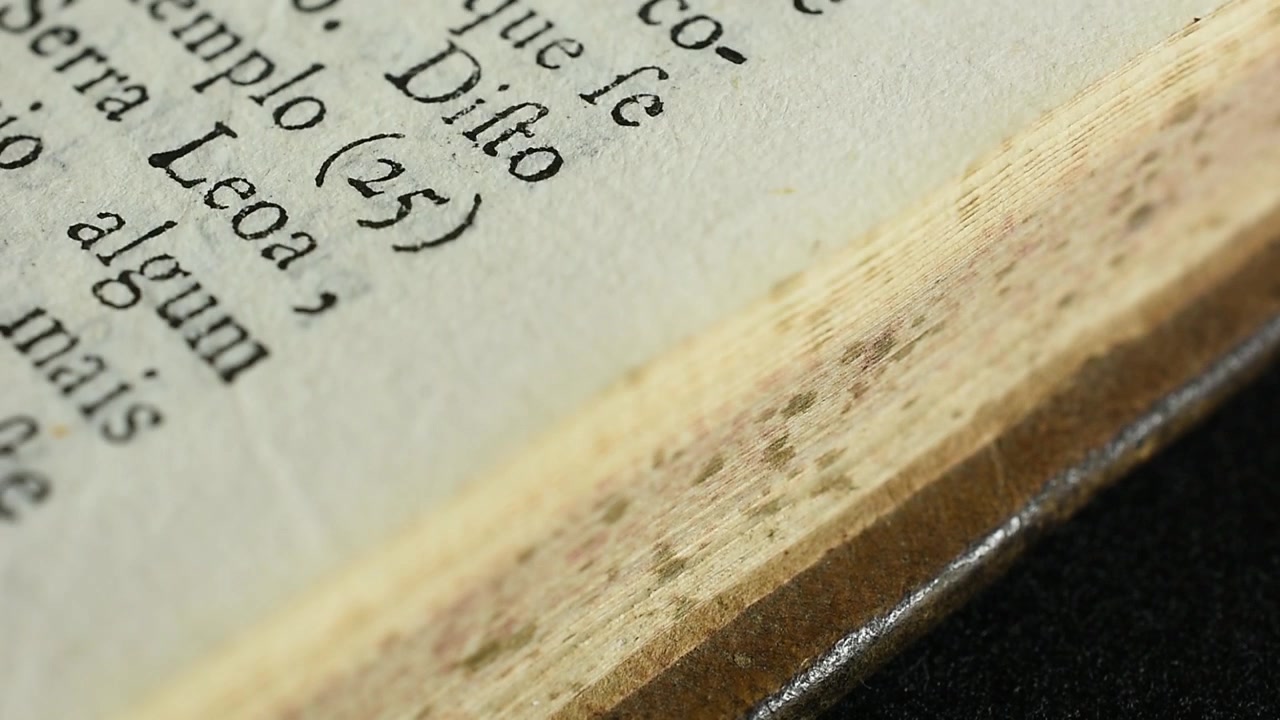 Flipping Paper Antique Book Pages Close Up