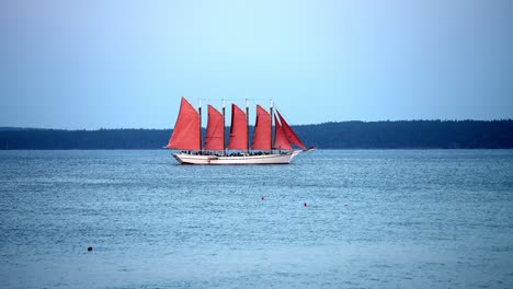 Sail-boat-glides-across-windswept-water-ripples-at-blue-hour