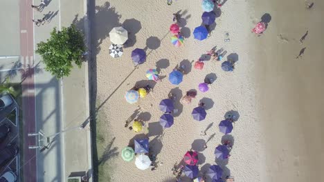 Aerial-shot-of-the-sandy-beach-and-beach-umbrella-on-a-sunny-day