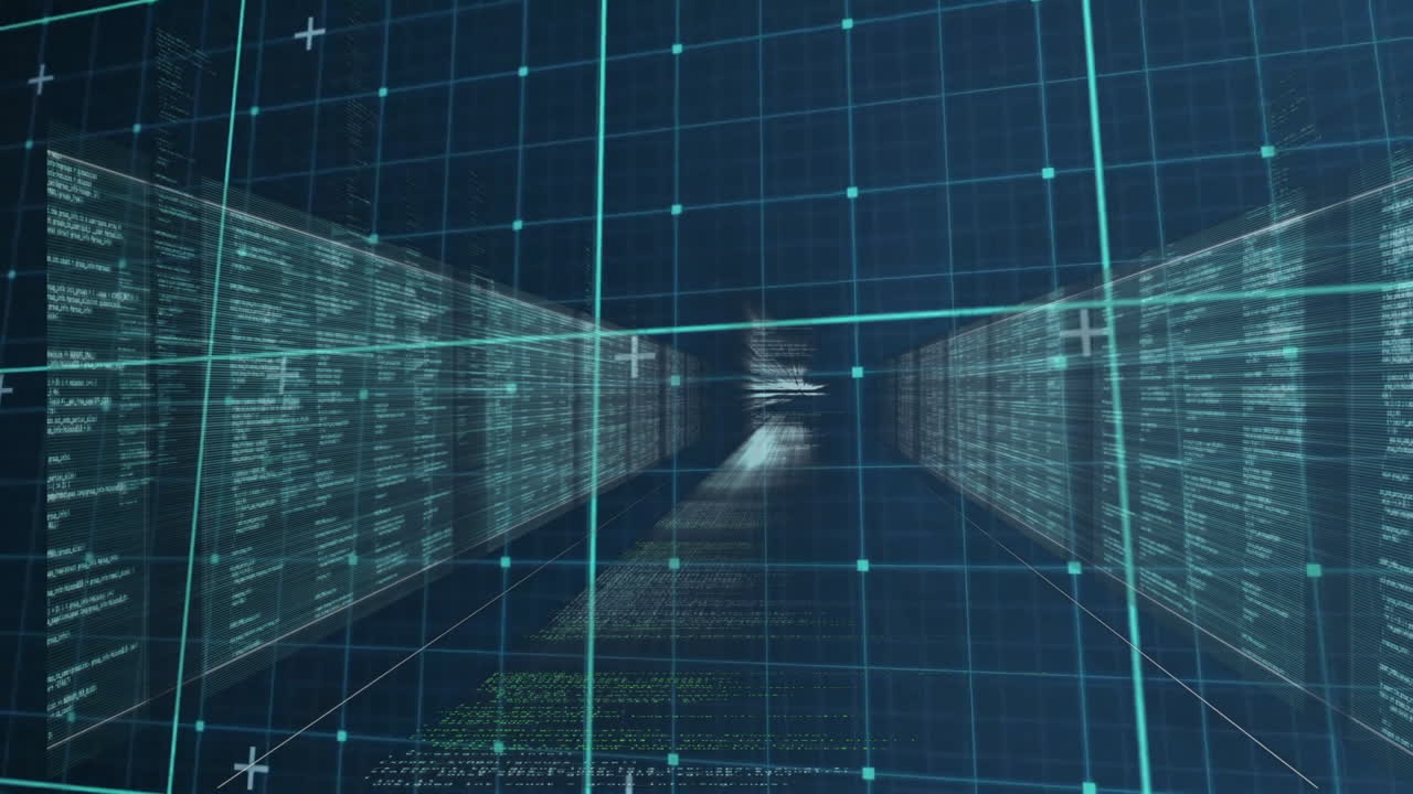 Animation of data processing over computer servers and grid