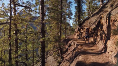 a shot of a woman walking towards the camera down a narrow pathwith trees to her right