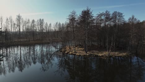 In spring, the trees on the island stand without leaves, and two birds fly out. Panoramic view.