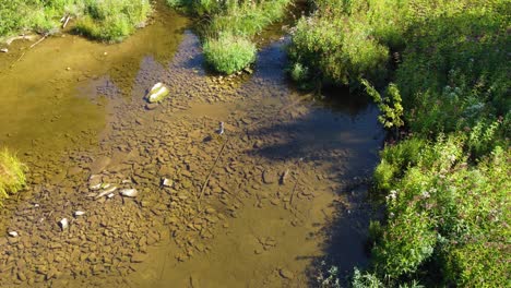 La-Grulla-Blanca-Escanea-Cuidadosamente-Un-Estanque-Sereno-En-Busca-De-Peces-Y-Movimiento-En-El-Desierto.