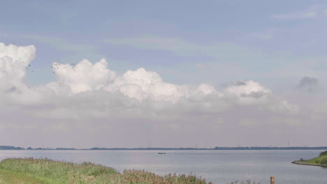 in this dutch countryside shot we view a lake and a flock of birds flying by