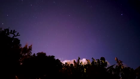night time sky timelapse, stars above tress and house.  panning shot
