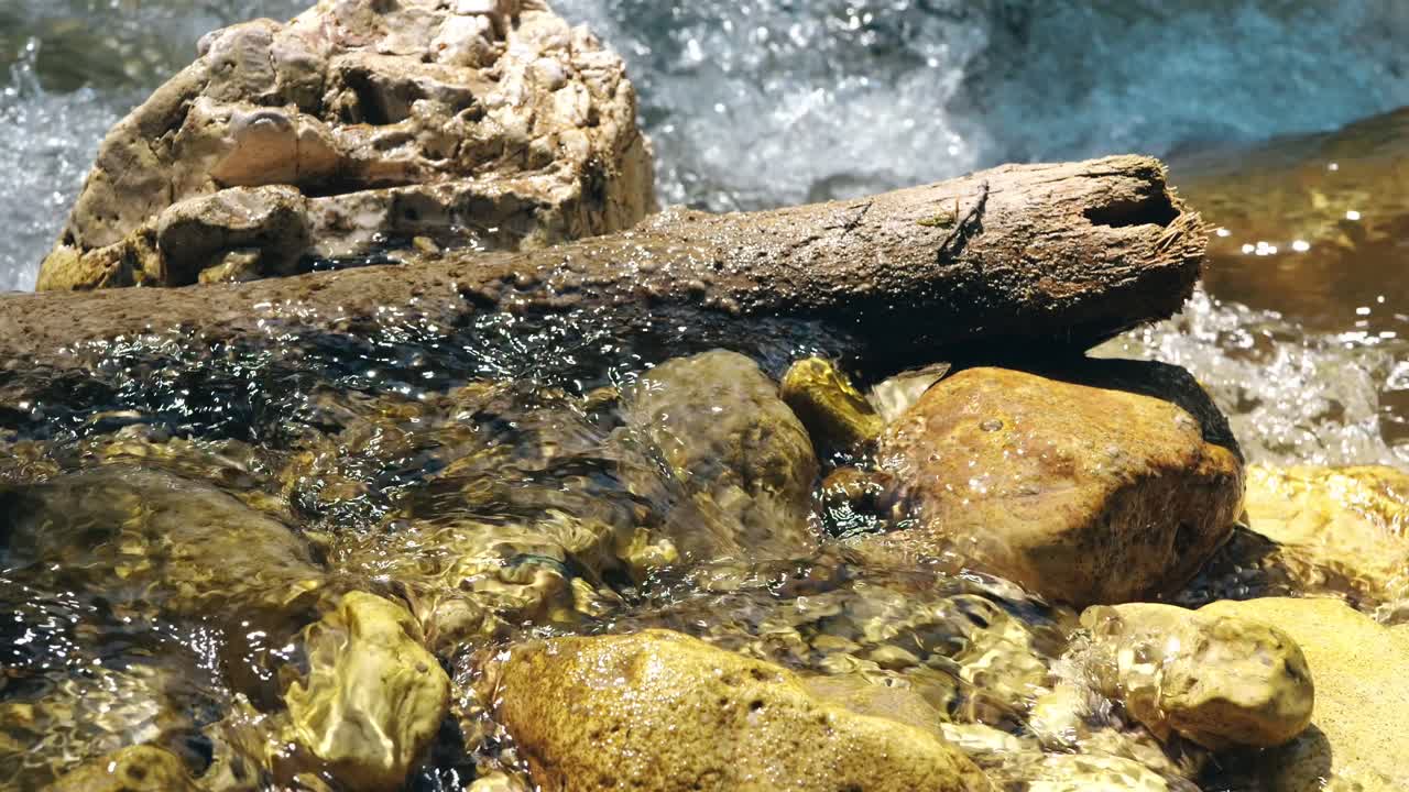 Driftwood On Pristine Rocky River In Summertime. Close-up Shot
