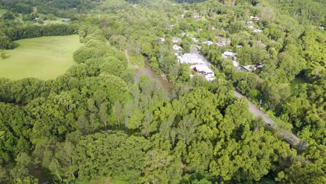 drone captures lush greenery and river landscape