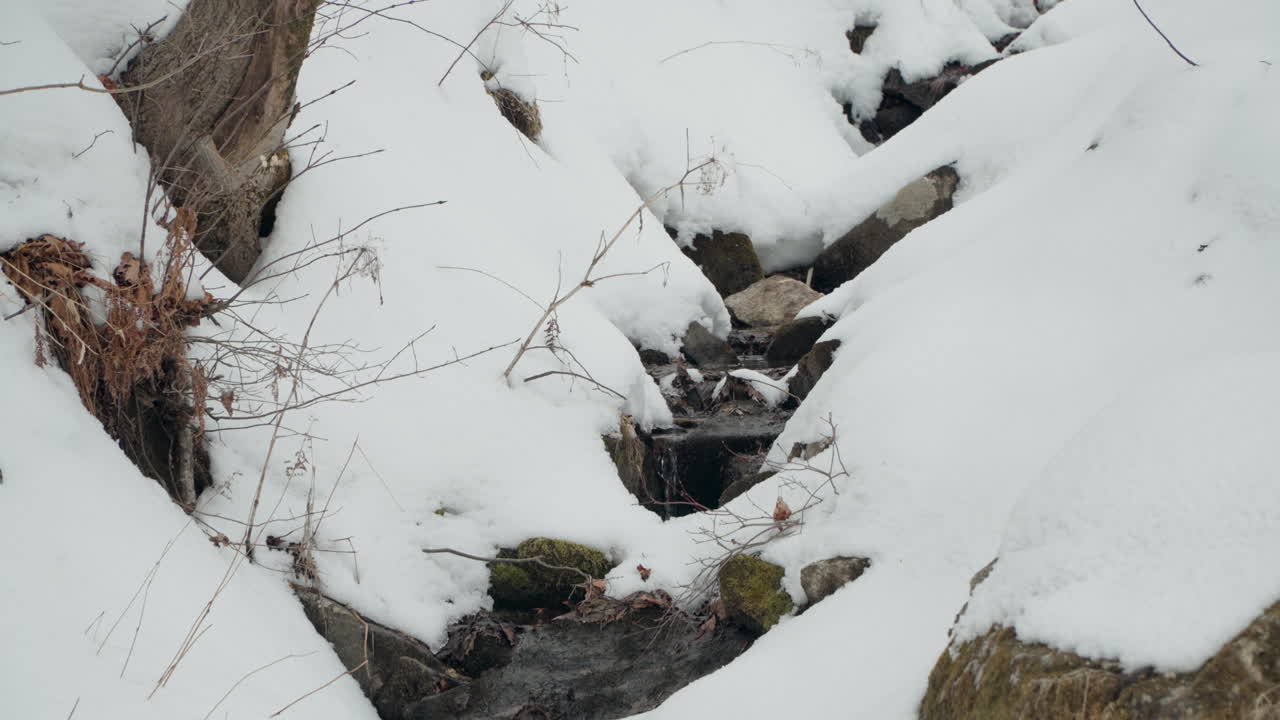 agua dulce que fluye a través del terreno helado en la granja de ovejas daegwallyeong en invierno en pyeongchang, corea del sur