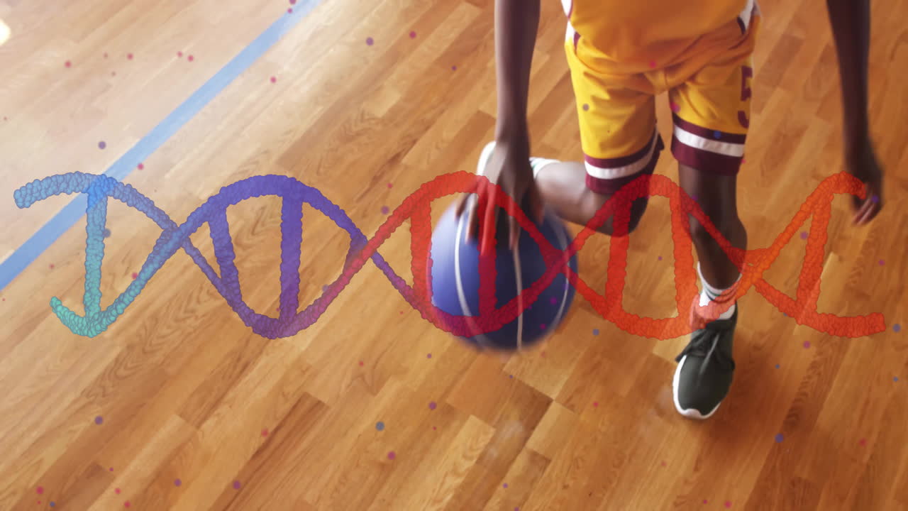 Dribling med basketball på bane, animation af DNA-streng over trægulv